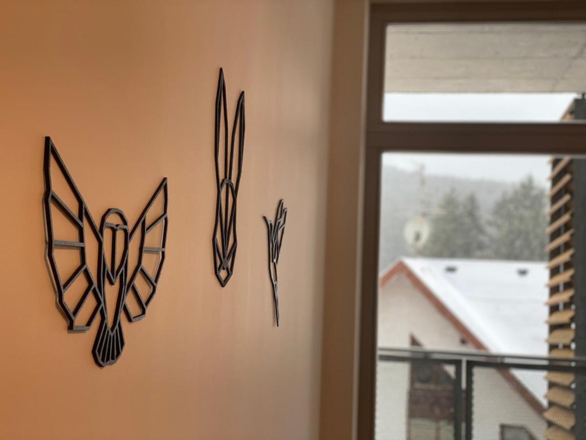 Luxusni Apartman U Sjezdovek S Garazi 哈拉霍夫 外观 照片